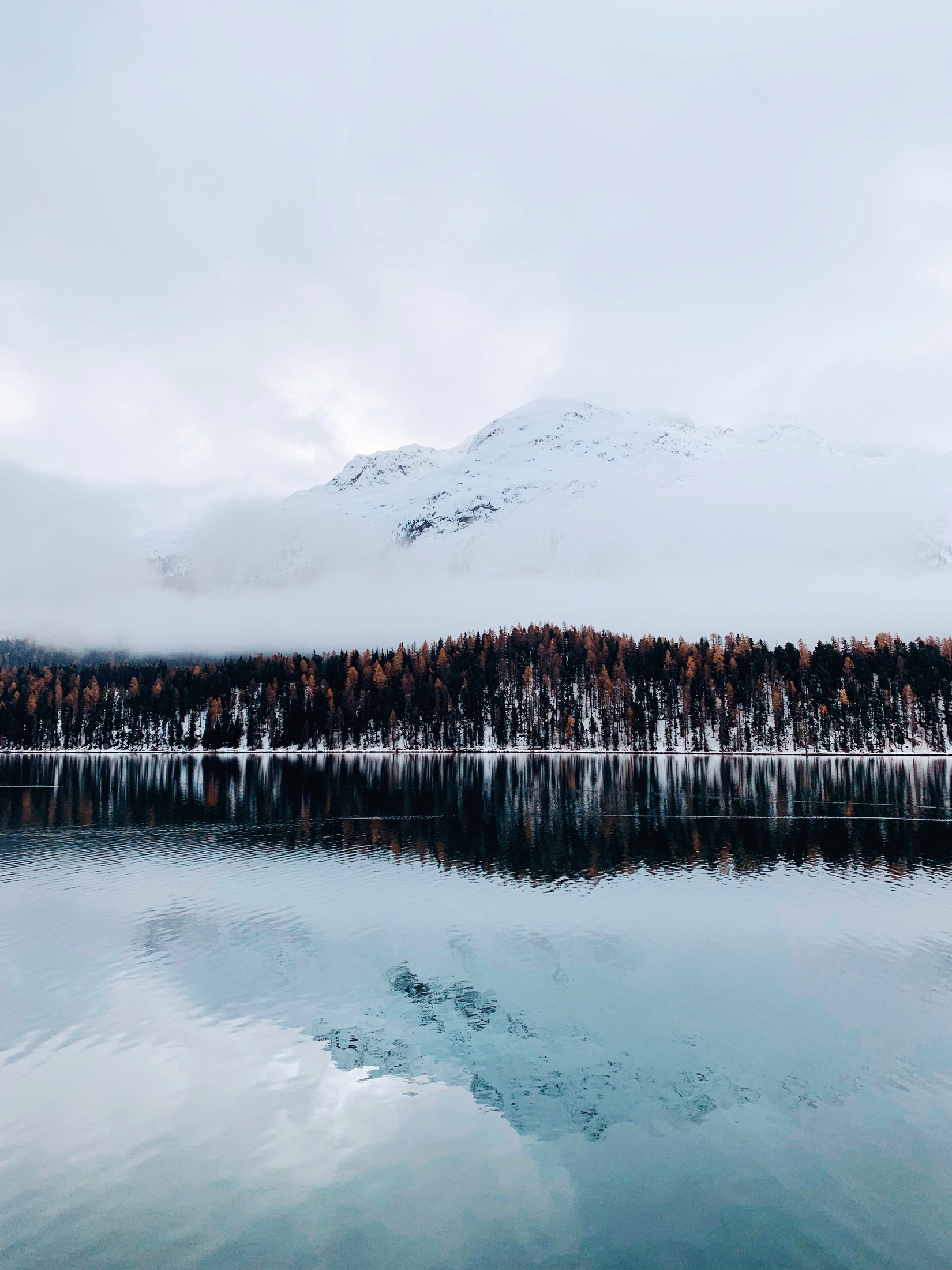 Lake St. Moritz in early winter, snow on the peaks and larch reflected on still water.